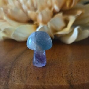 🍀 Fluorite Natural Stone Mini Mushroom Carving NEW